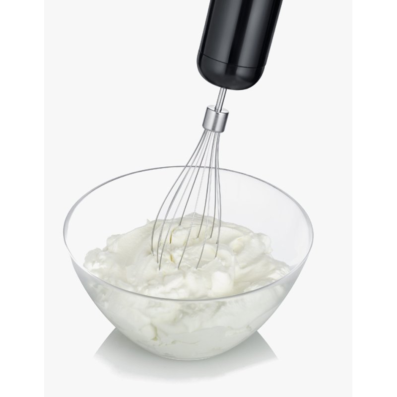 SEVERIN mixeur plongeant SM 3772, 600 Watts, acier inoxydable/noir, avec accessoires